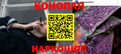 ГАЛЛЮЦИНОГЕННЫЕ ГРИБЫ Гусиноозёрск