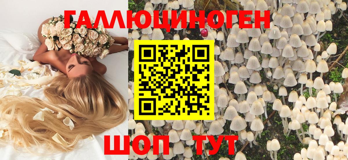 Псилоцибиновые грибы ЛСД Мичуринск