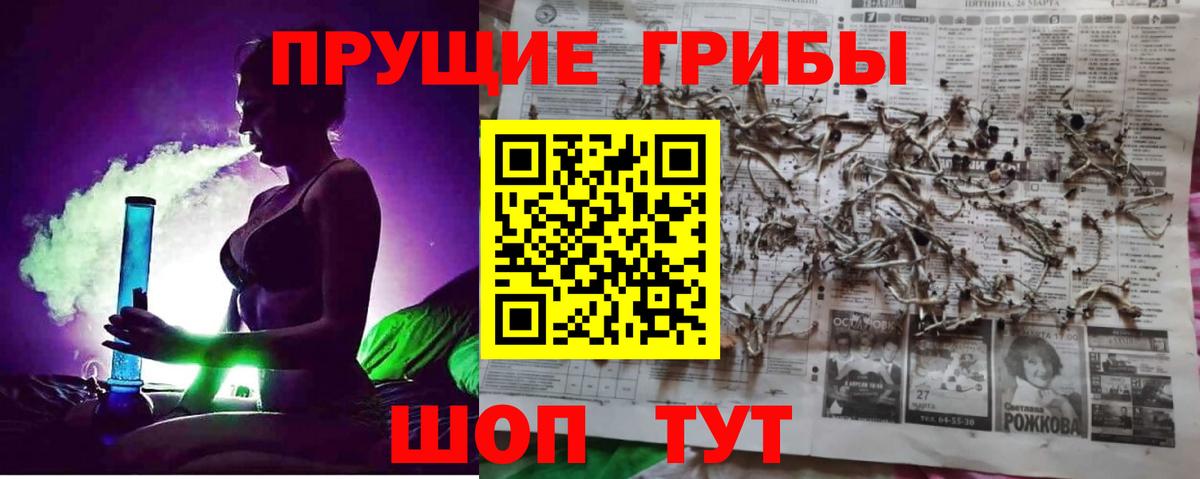 Мичуринск  Галлюциногенные грибы Cubensis  Вход с VPN  Псилоцибиновые грибы мухоморы 
